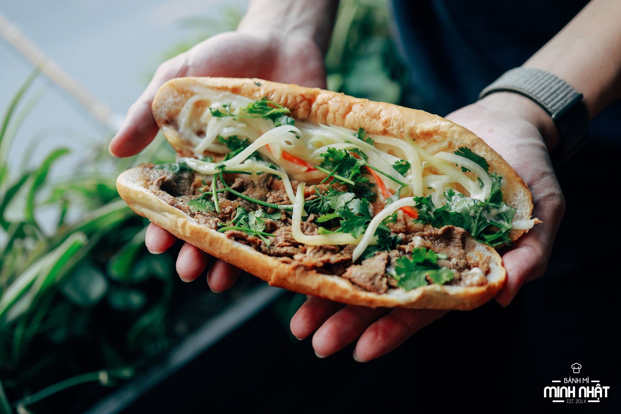 Dive into the authentic flavors of Hanoi Travel